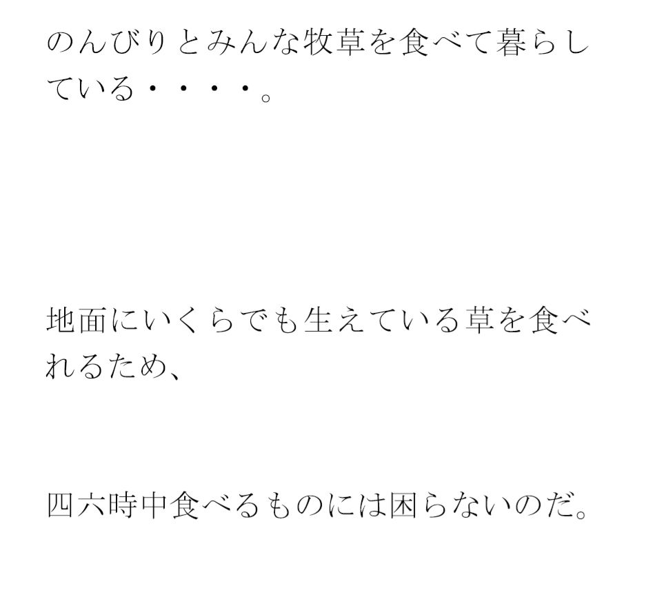 エッチ巨尻ウサギのゴールの扉 その先はやりたい放題の草原 サンプル1ページ目