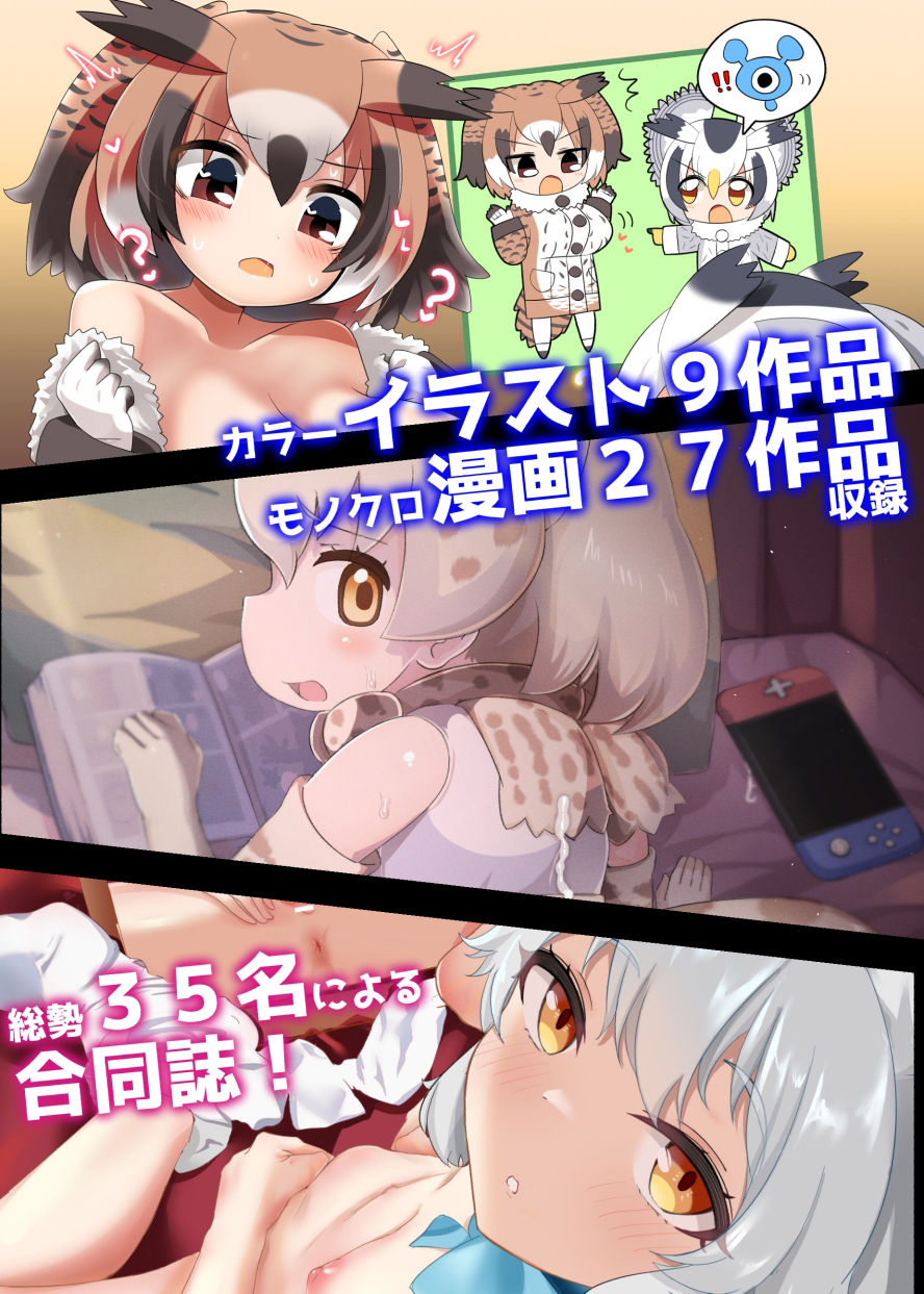 けもフレ無知シチュエーション合同 サンプル5ページ目