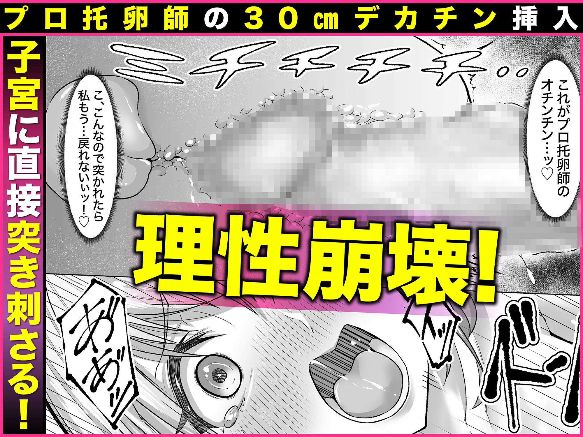 妊娠懇願寝取られ托卵妻〜30cm巨根托卵師に孕まされた変態人妻ミカ〜 サンプル5ページ目