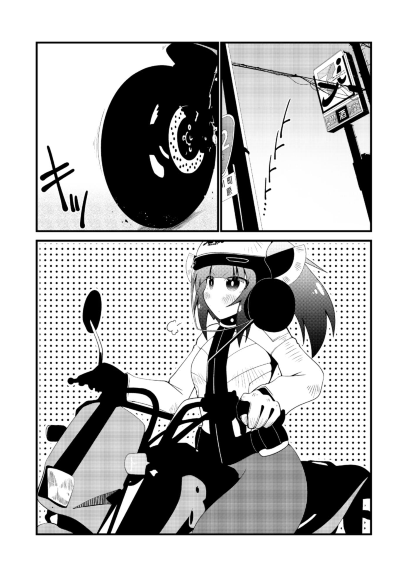 バイカロイズダッシュ サンプル2ページ目