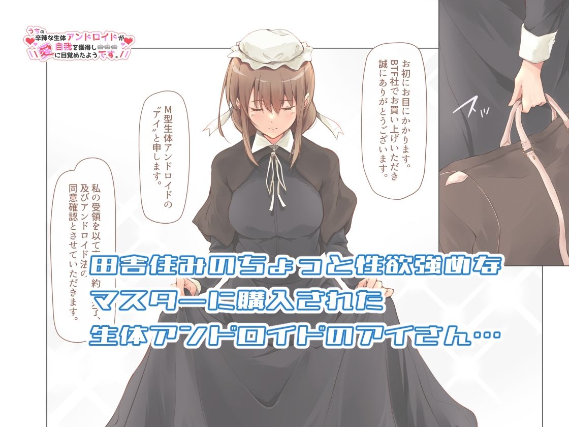 うちの辛辣な生体アンドロイドが自我を獲得し愛に目覚めたようです。 サンプル1ページ目