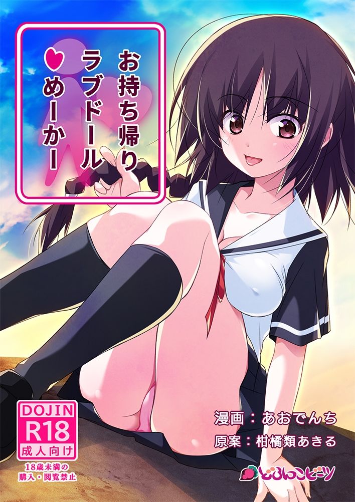 お持ち帰りラブドールめーかー サンプル1ページ目