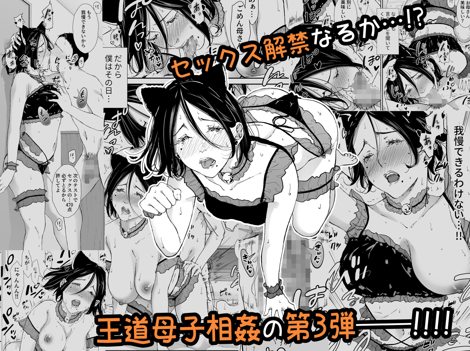 僕の大好きな母さんと思う存分セックスできる日 3 サンプル5ページ目
