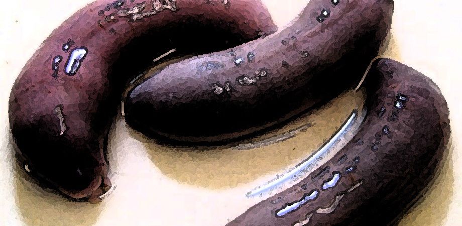私の蟲姦遊び 21 話 妊娠中に3匹のユムシ編 全編 サンプル3ページ目