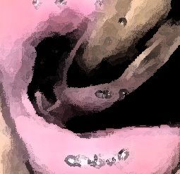 私の蟲姦遊び 21 話 妊娠中に3匹のユムシ編 全編 サンプル6ページ目
