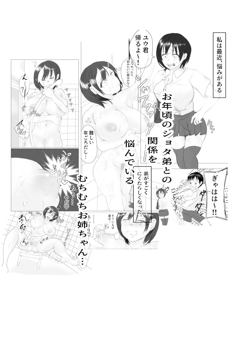 悩めるお姉ちゃんと、ショタ○キ サンプル1ページ目
