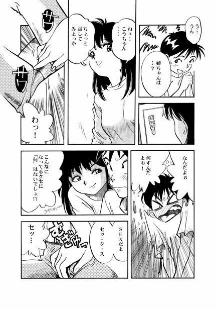 姉ちゃん サンプル3ページ目