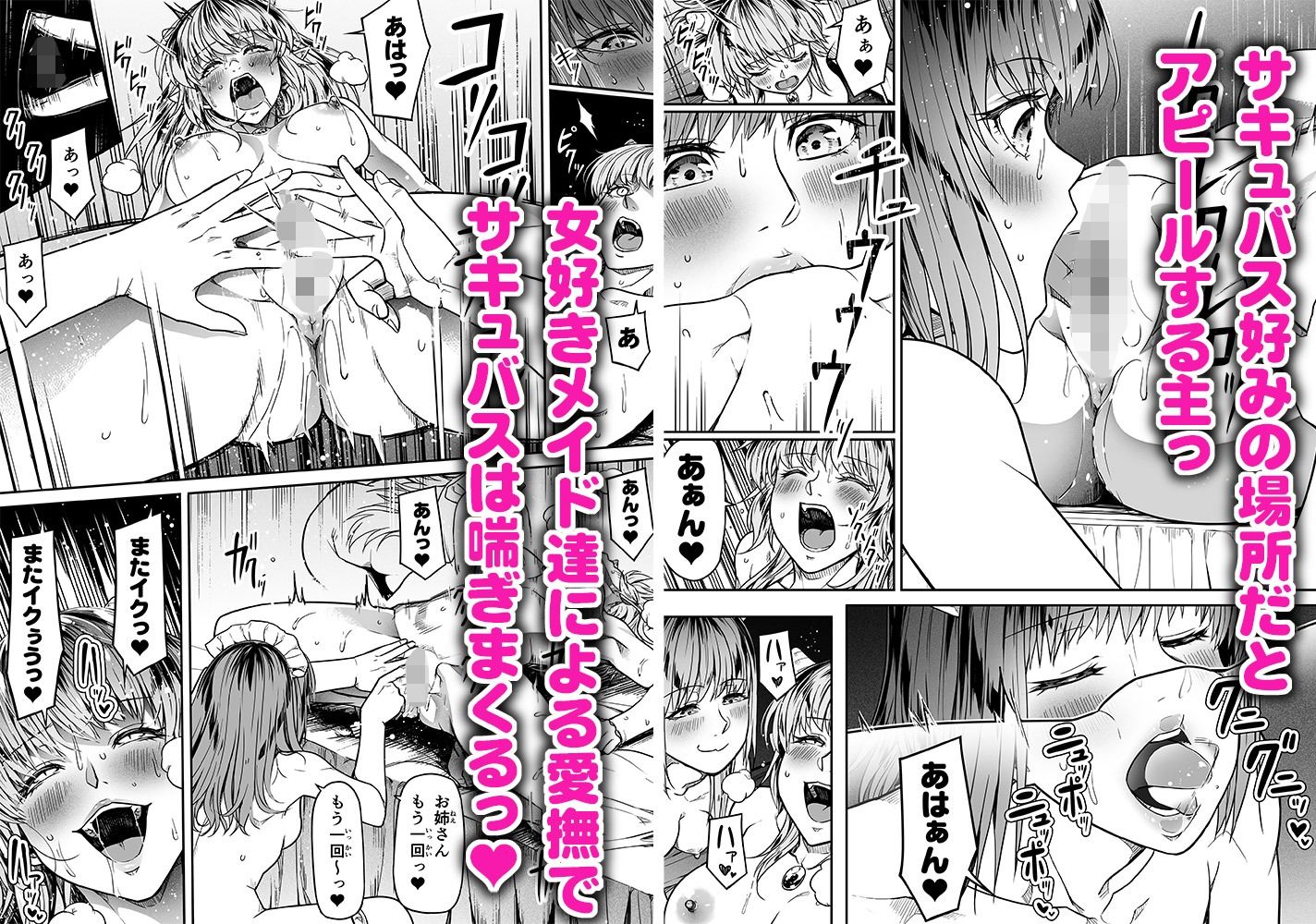 力あるサキュバスは性欲を満たしたいだけ 12 サンプル9ページ目