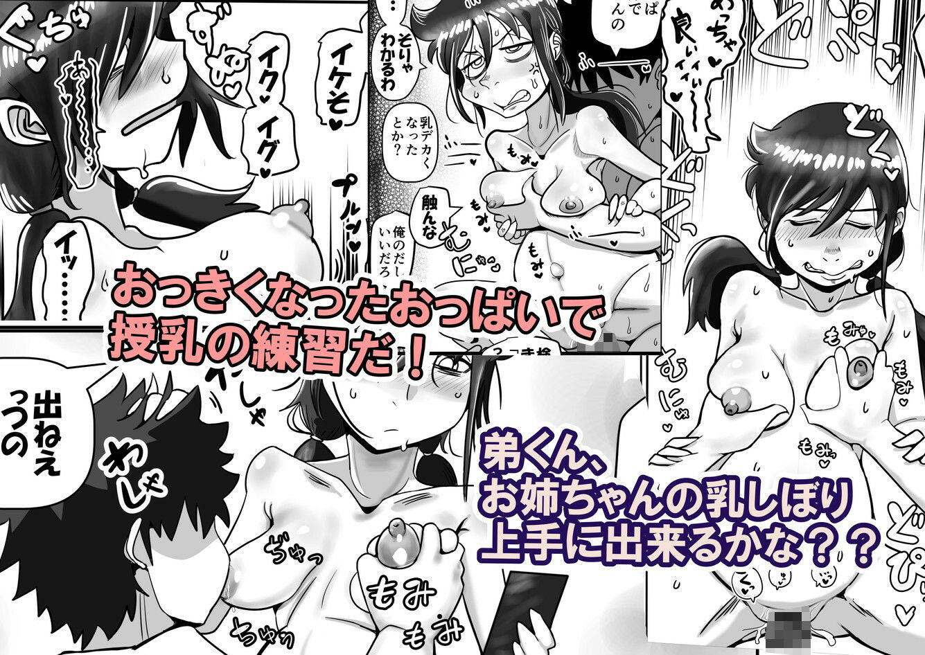 智こキ 妊婦諦念編 私はモテないけど弟との愛も合意もないHで妊娠し法律で許された中絶可能週数すら超過して人生詰んだけどやっぱり私が悪いの？（泣き声） サンプル3ページ目