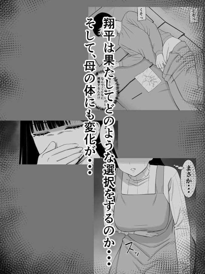 いじめっ子に母を寝取られて家庭崩壊した話誰か聞きたい？4 サンプル10ページ目