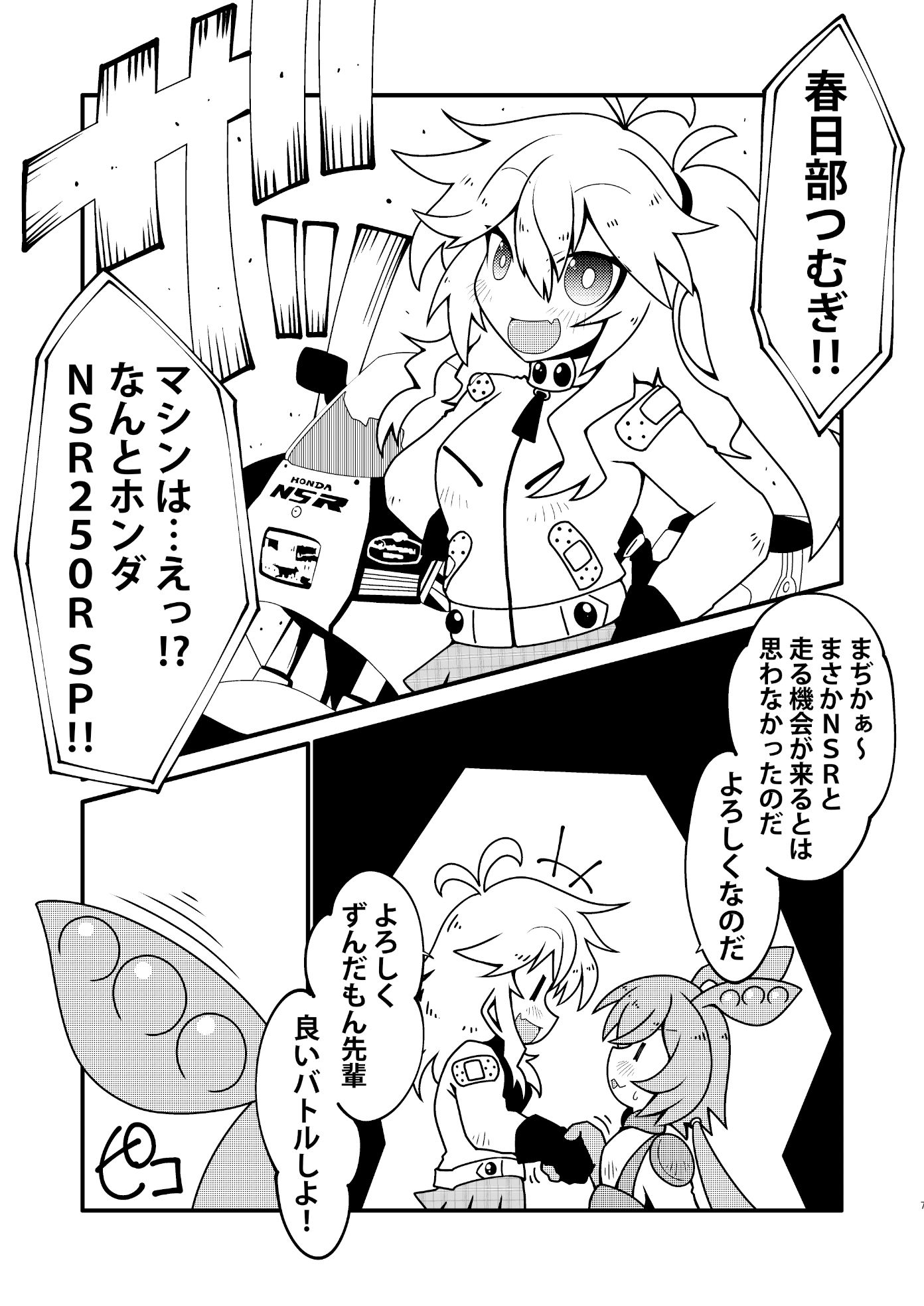 バイカロイズ紬 サンプル2ページ目