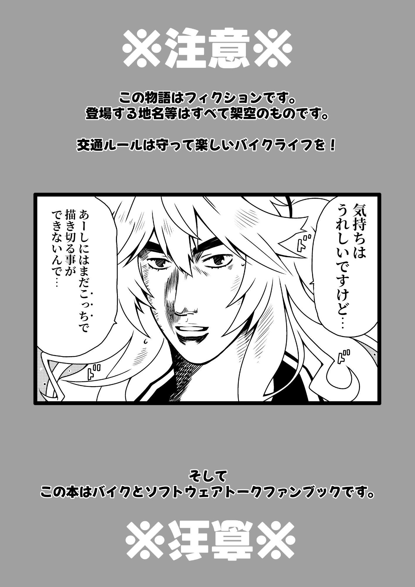 バイカロイズ紬 サンプル4ページ目