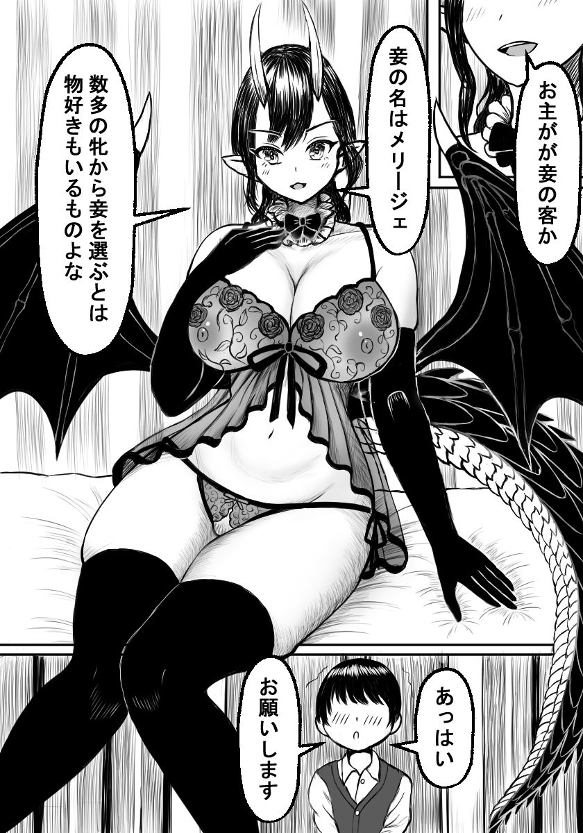 あぁ、人外娼館2 愛欲の竜姫編 サンプル2ページ目
