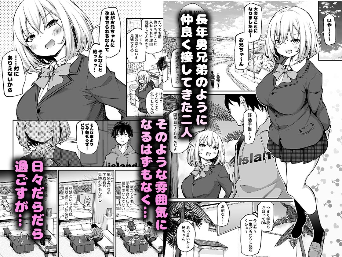 妹孕ませないと出られない島 サンプル2ページ目
