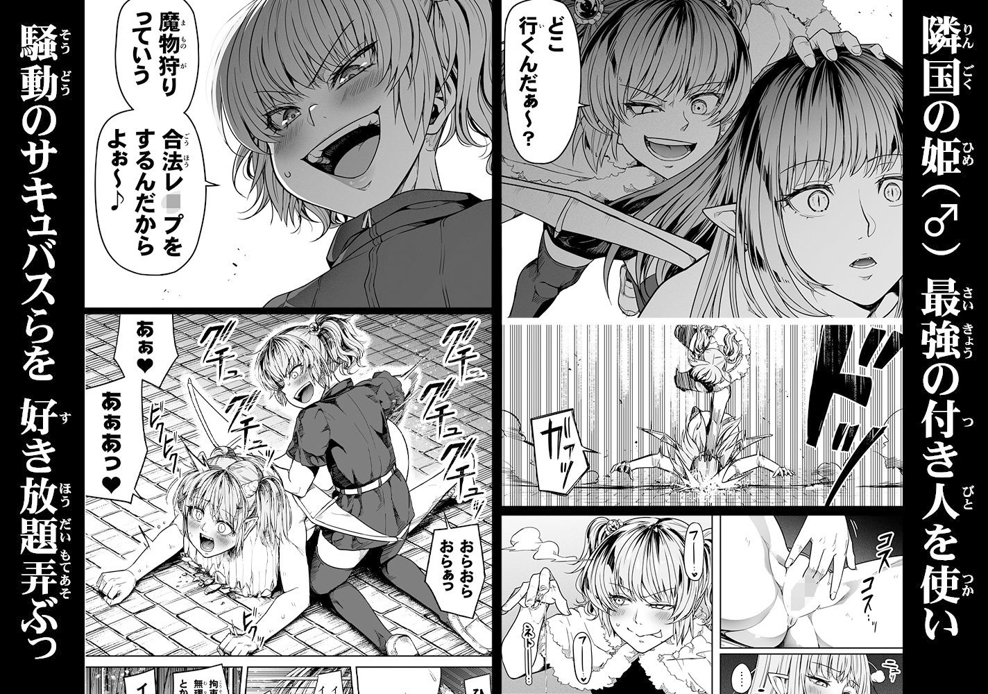 力あるサキュバスは性欲を満たしたいだけ 13 サンプル1ページ目