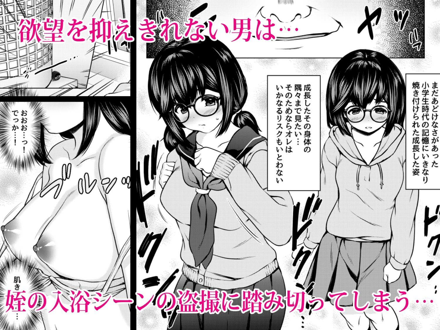 地味メガネ巨乳の姪が淫乱JKに成長して泊りに来たので媚薬を使って俺専用オナホにしたった話 サンプル3ページ目