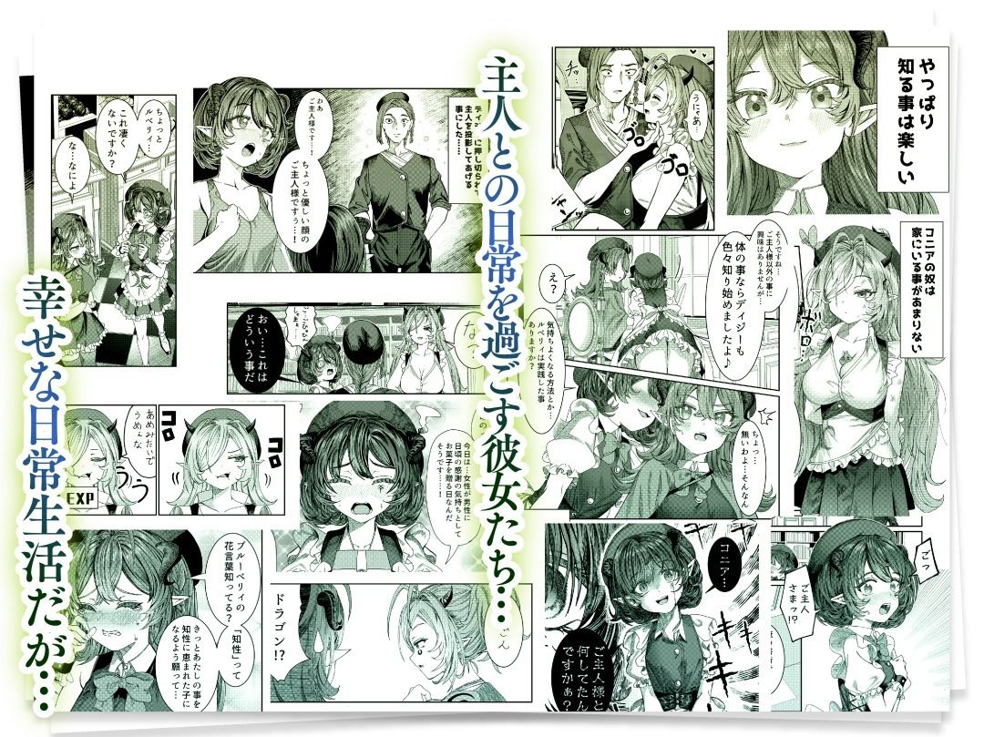 奴◯を調教してハーレム作る〜育てた奴◯たちと純愛ハーレムHするまでの話〜 サンプル2ページ目