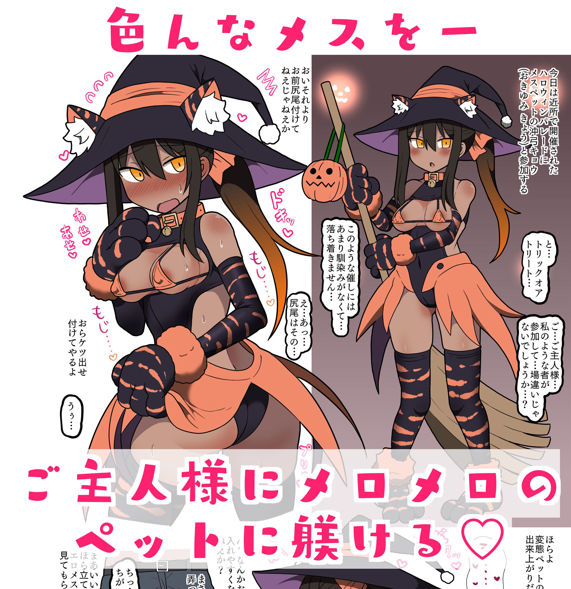 メスペットシリーズ総集編vol.3 サンプル1ページ目