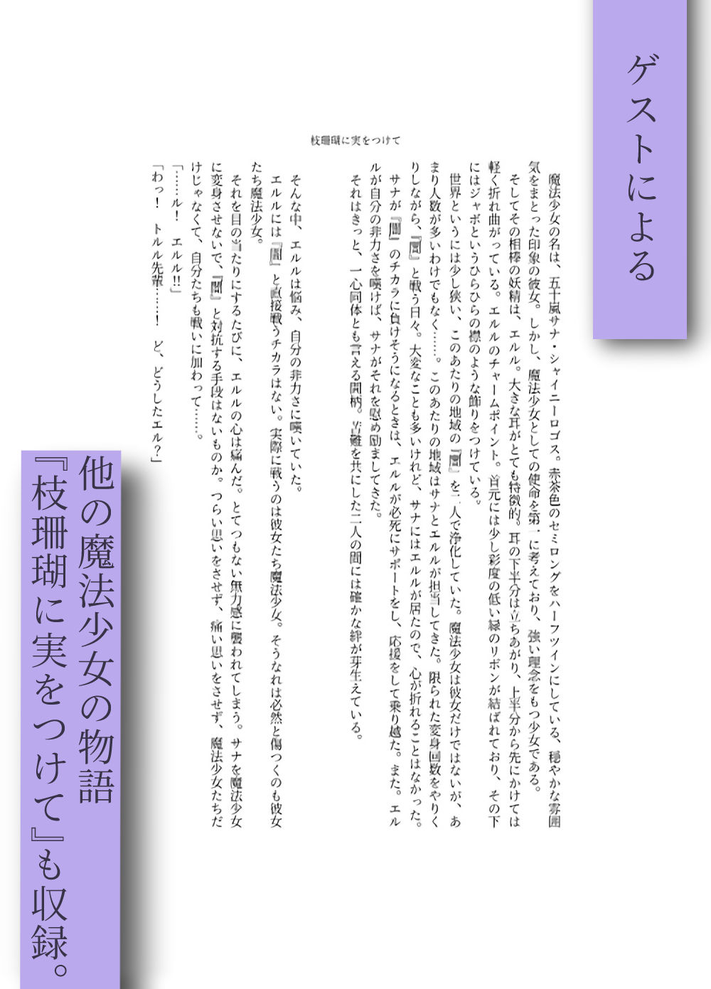 変身回数に限りがある世界の魔法少女が悪の手を取り堕ちた先。 サンプル3ページ目