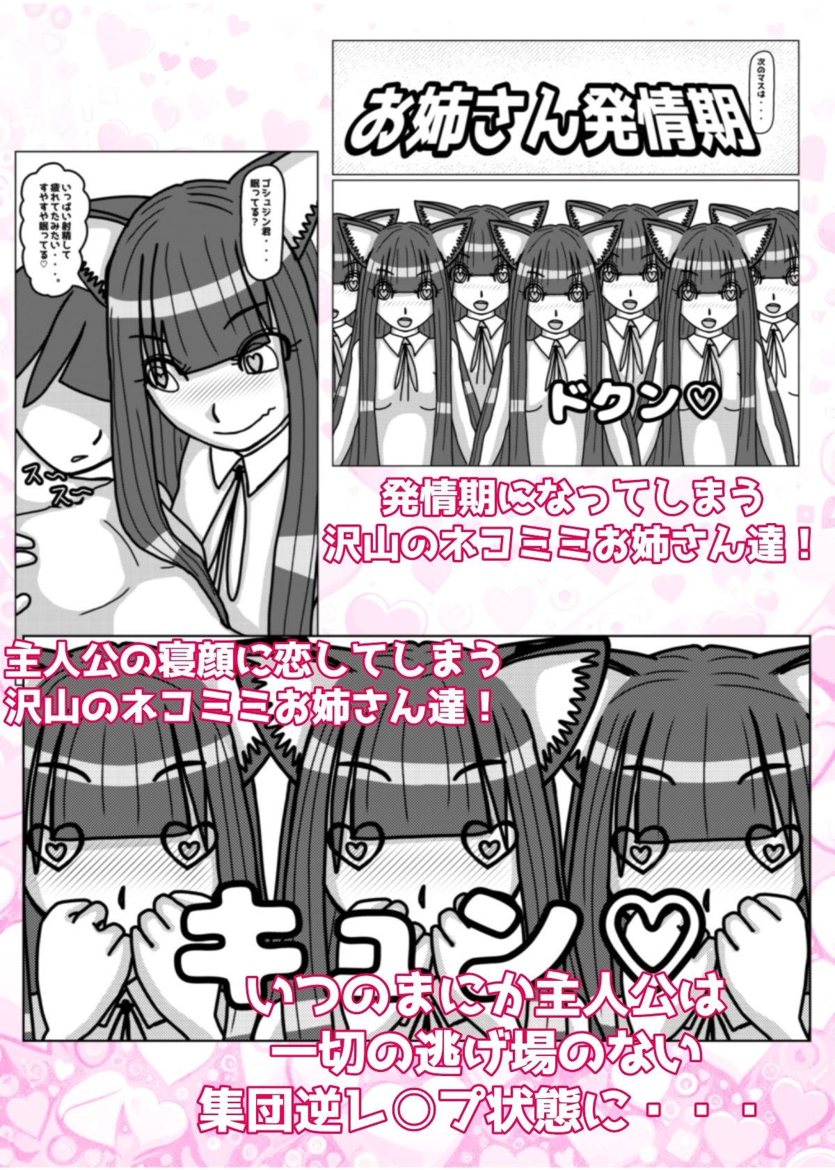 ネコミミお姉さんを集めるゲームでハーレムを作ったつもりが集団逆レ○プされてラブラブ監禁される話 サンプル3ページ目