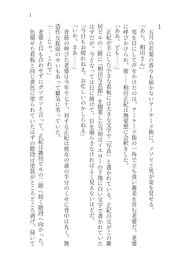 【官能小説】アイドル志望女子大生 強●ハメ撮り【レ●プ凌●】 サンプル3ページ目