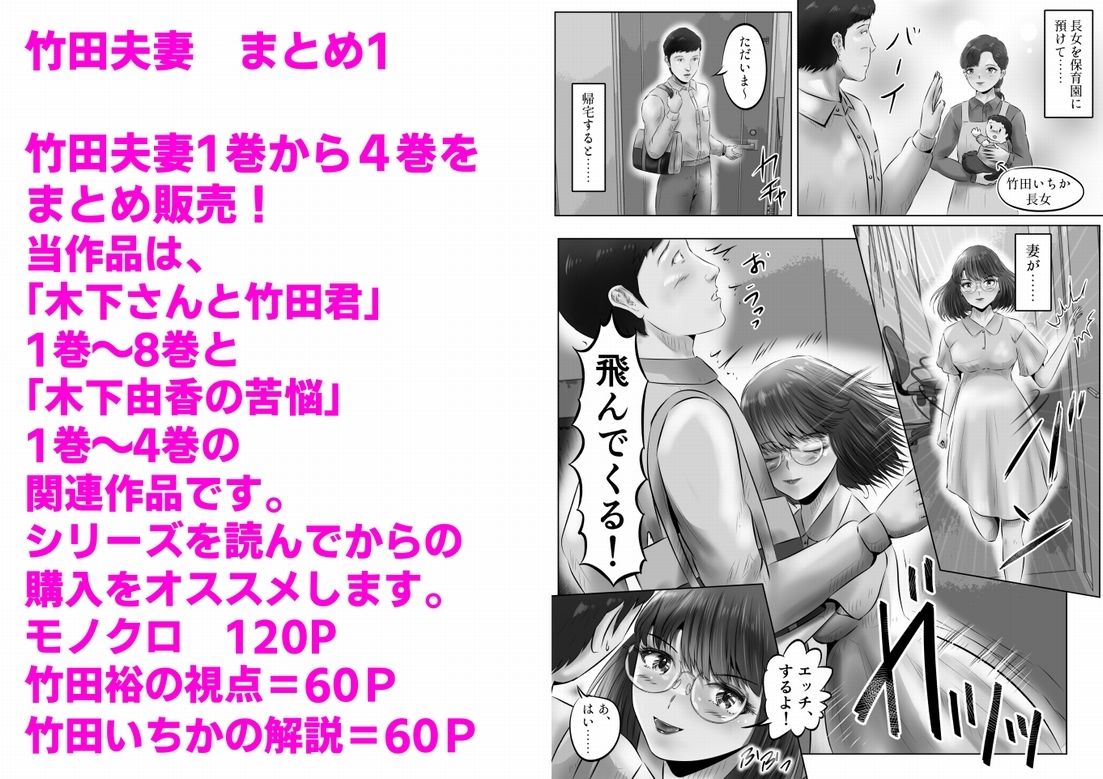 竹田夫妻 まとめ（1） サンプル1ページ目