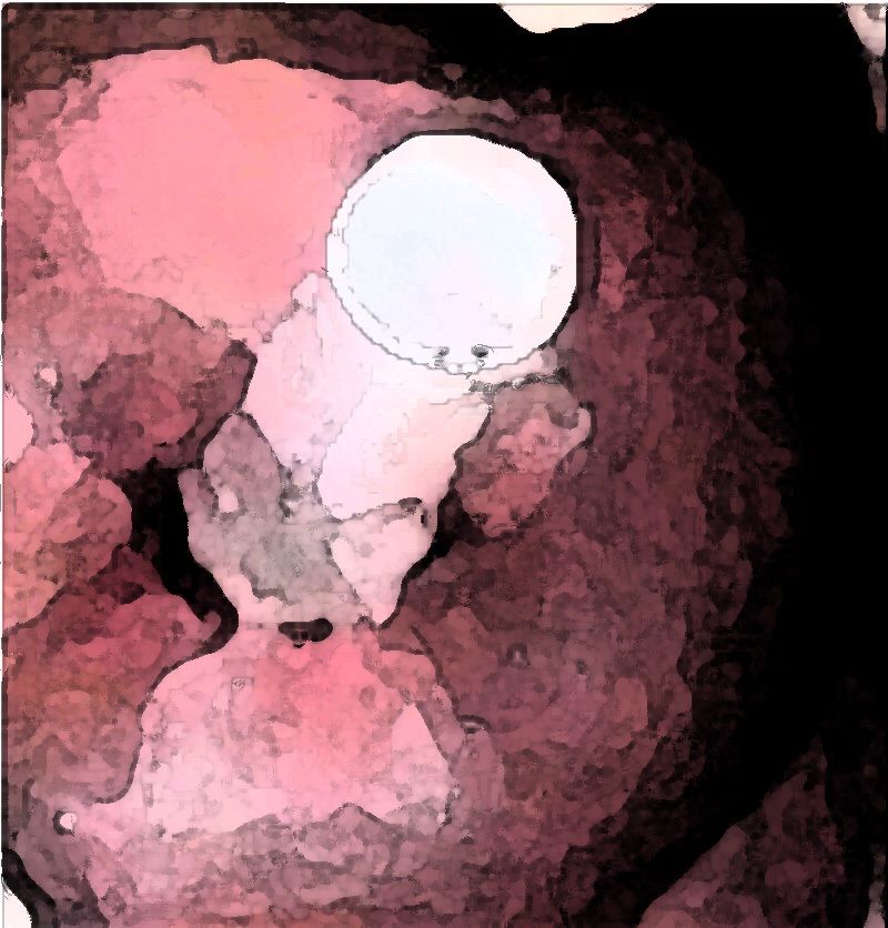 私の蟲姦遊び 27話 妊娠中にジャンボタニシの卵編 サンプル7ページ目
