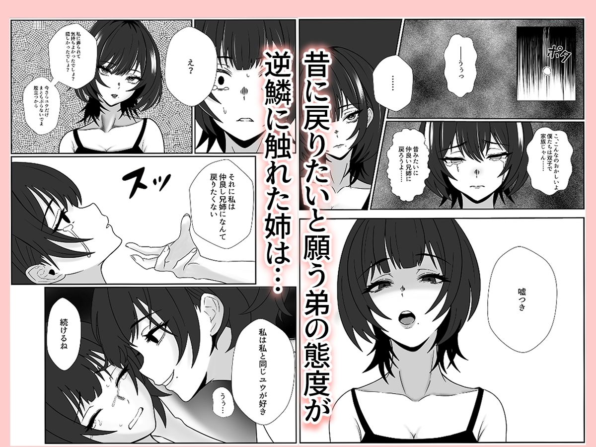 双子の異常な愛情〜双子の姉が弟を女装させてローションガーゼで気絶するまで精液と潮を搾り尽くす話〜 サンプル3ページ目