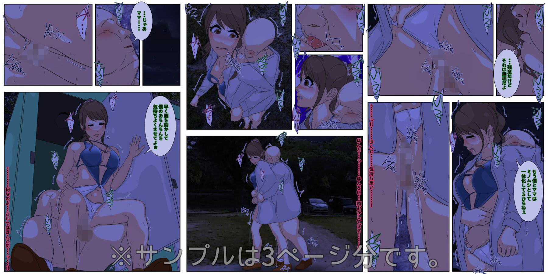 ぼくのママがおじいちゃん一味に夜通し中出しされ続けました。 野外セックス編 完全版 サンプル2ページ目
