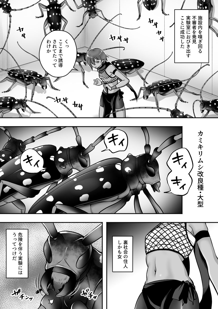 昆蟲研究所3 サンプル3ページ目
