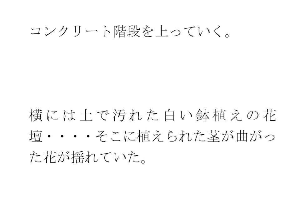 鉄の屋根の小屋・・・長いコンクリート階段を上り終えたあと現実の街へ サンプル3ページ目