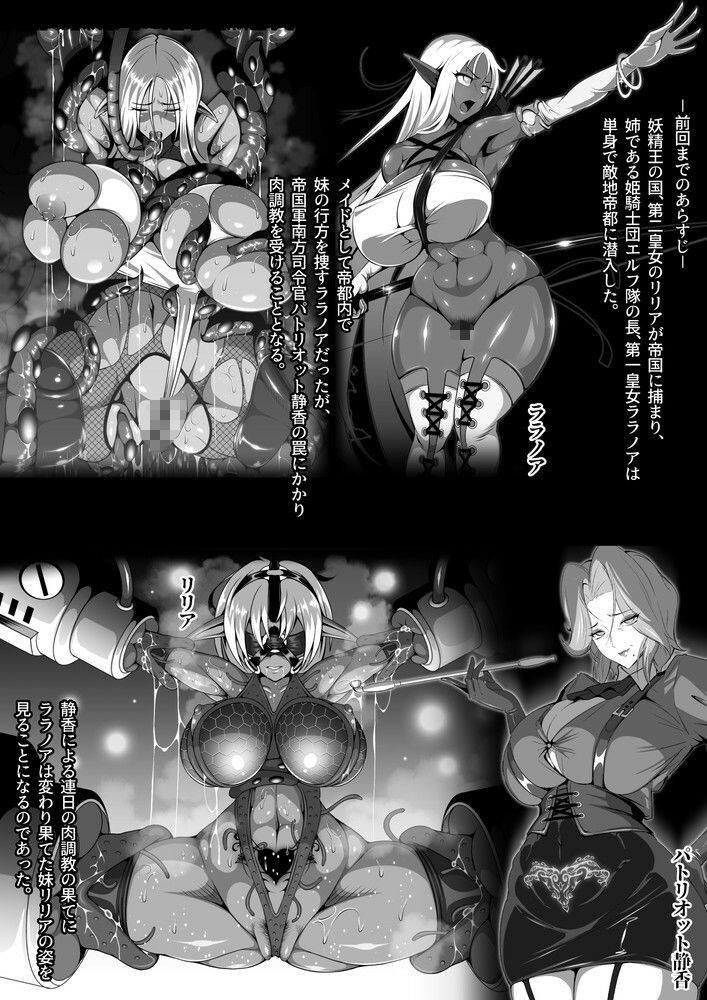 淫紋悪堕ちノ姫騎士団 vol2 敗北の巨乳熟女悪の女幹部乳首改造淫獄変 サンプル2ページ目