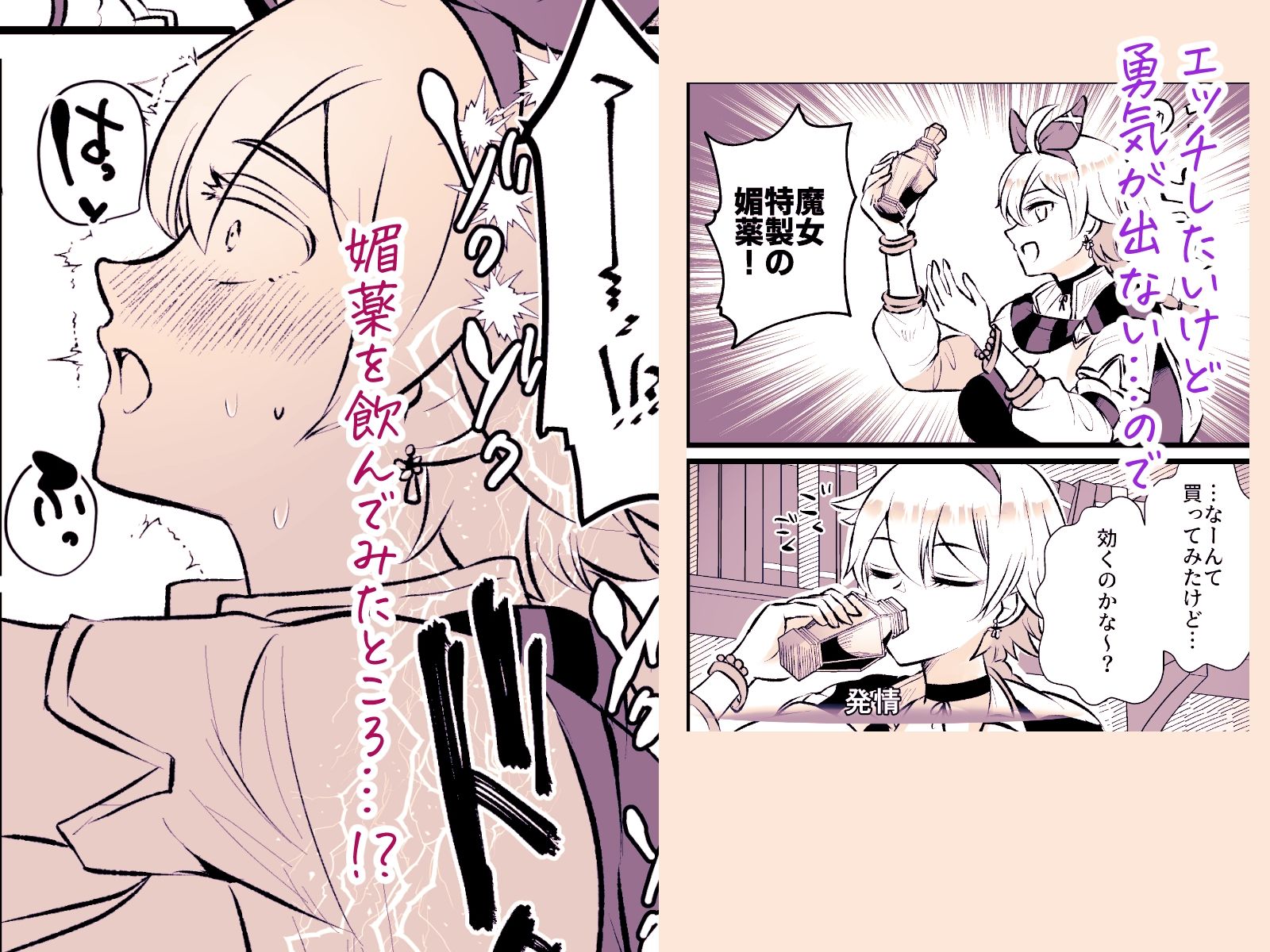 盗賊をしていたら皇帝陛下に溺愛されてしまいました サンプル2ページ目