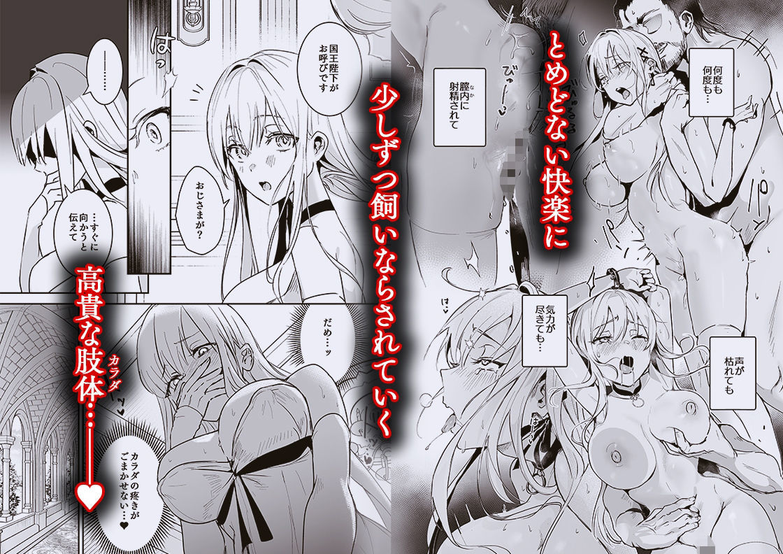 王女陥落2 サンプル2ページ目