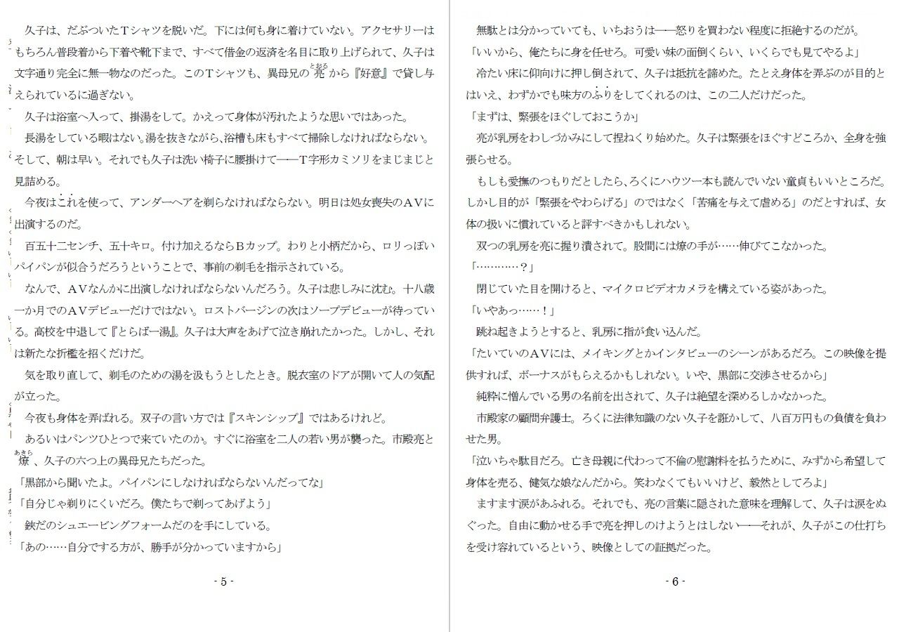 800万円のDVR:1淫虐調教編 サンプル3ページ目