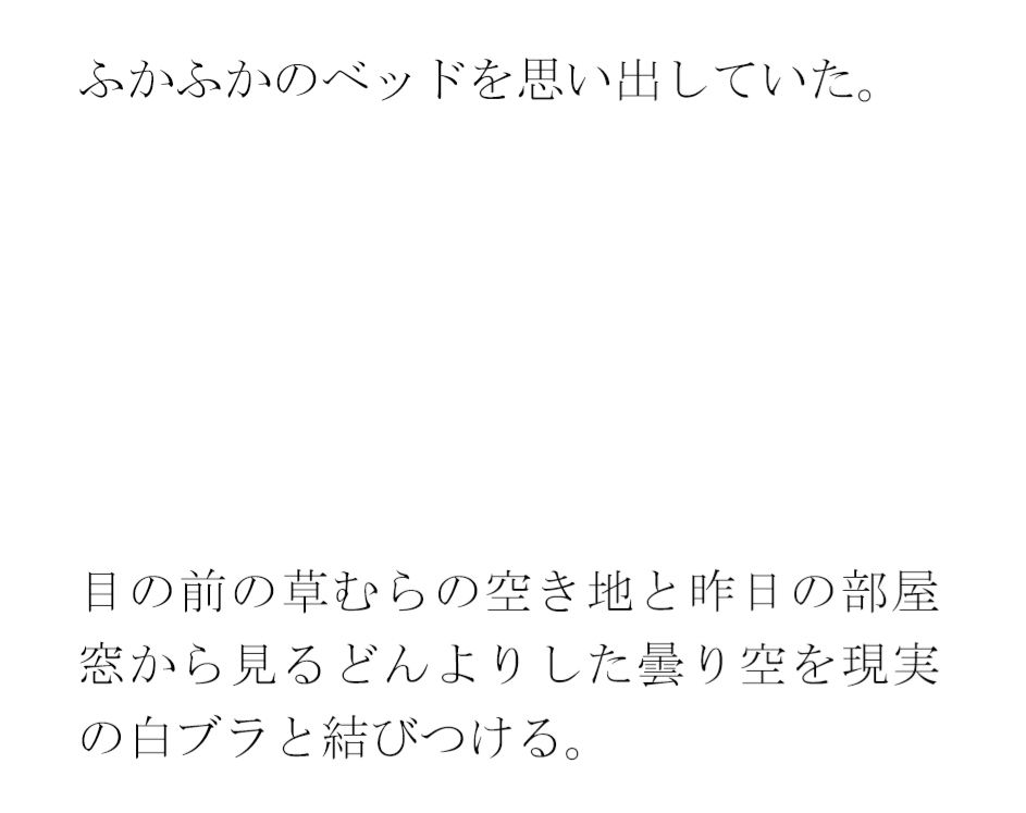 ホテル屋上と知人のおすすめのバー  その横の空き地とベンチ サンプル4ページ目