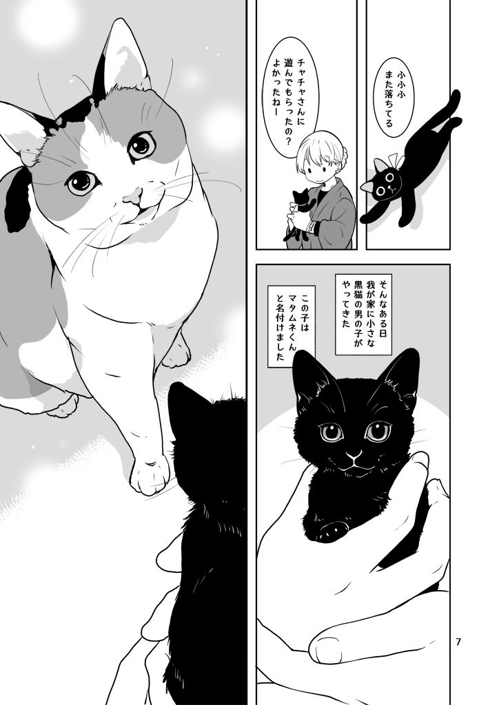 なにおもうねことひと サンプル7ページ目