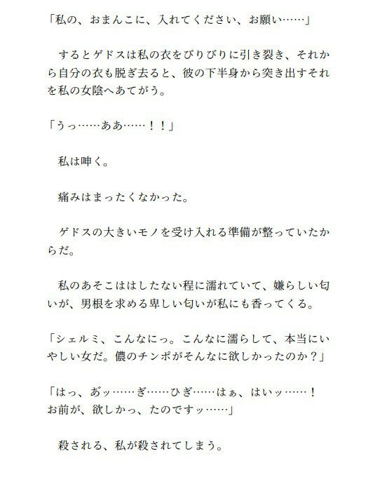 最強中年デブハゲ魔術師はTS勇者を飼い慣らす（3） サンプル3ページ目