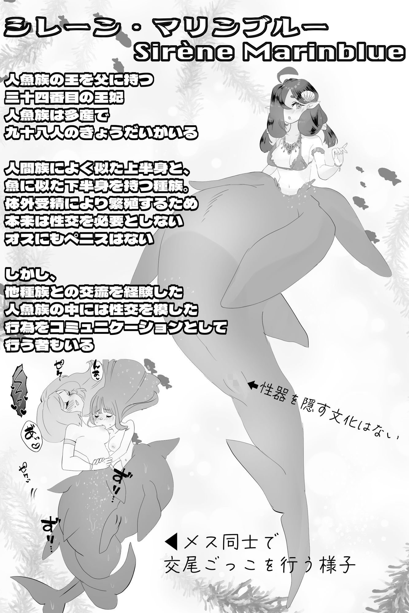 異世界憑依紀行ー有翼人とマーメイドー サンプル5ページ目