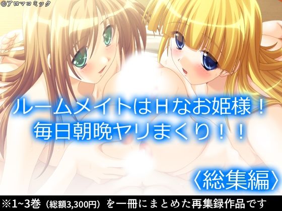 ルームメイトはHなお姫様！毎日朝晩ヤリまくり！！  ＜総集編＞