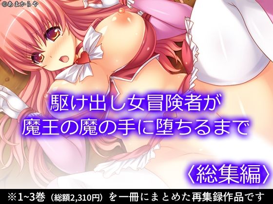 駆け出し女冒険者が魔王の魔の手に堕ちるまで  ＜総集編＞