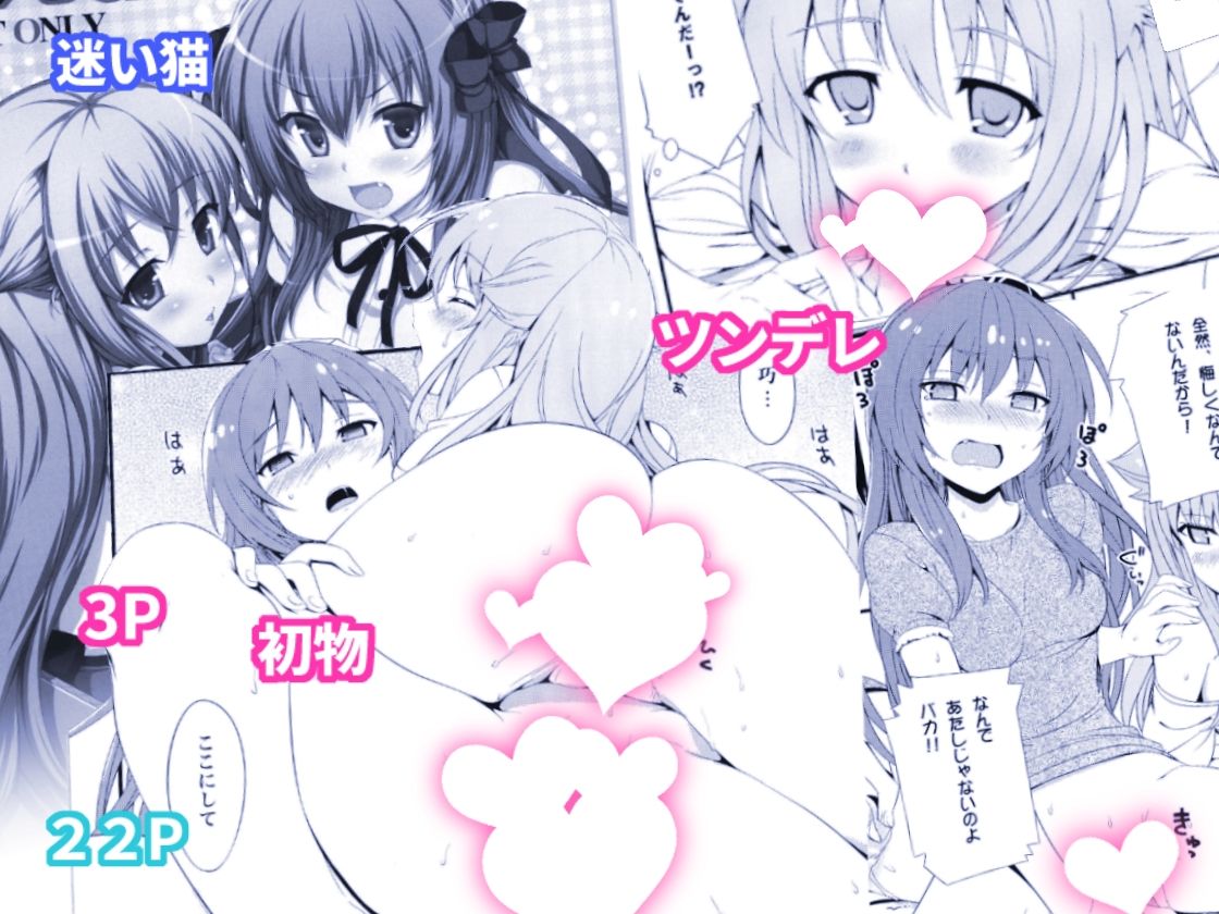 ねこはまんまがうつくしい 最初のまとめ本 サンプル5ページ目