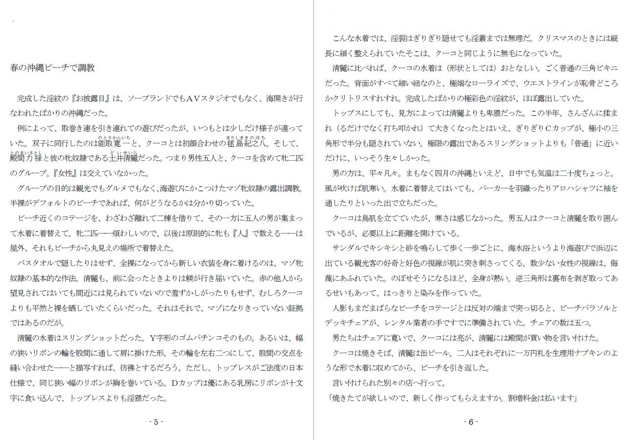 800万円のDVR:3惨虐搾取編 サンプル1ページ目