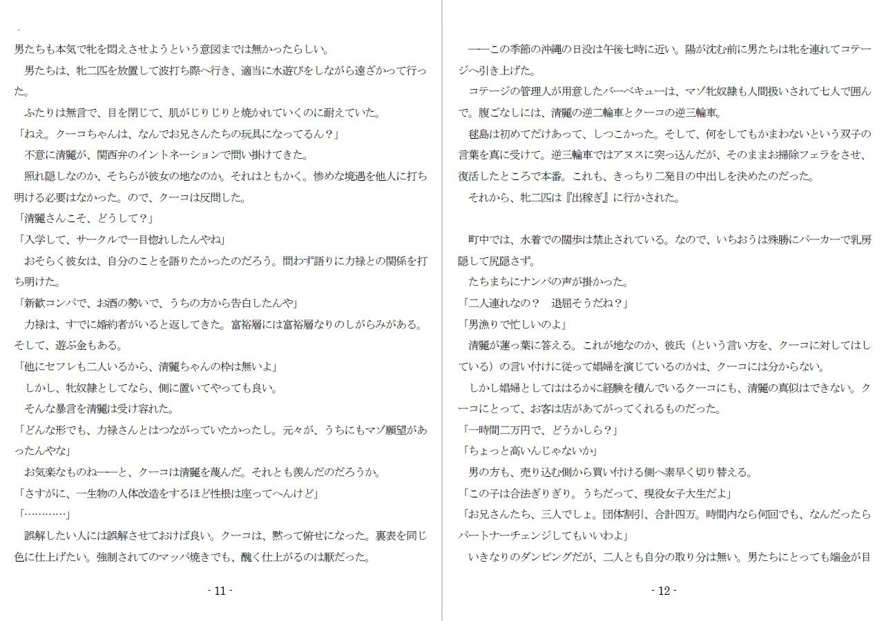 800万円のDVR:3惨虐搾取編 サンプル4ページ目