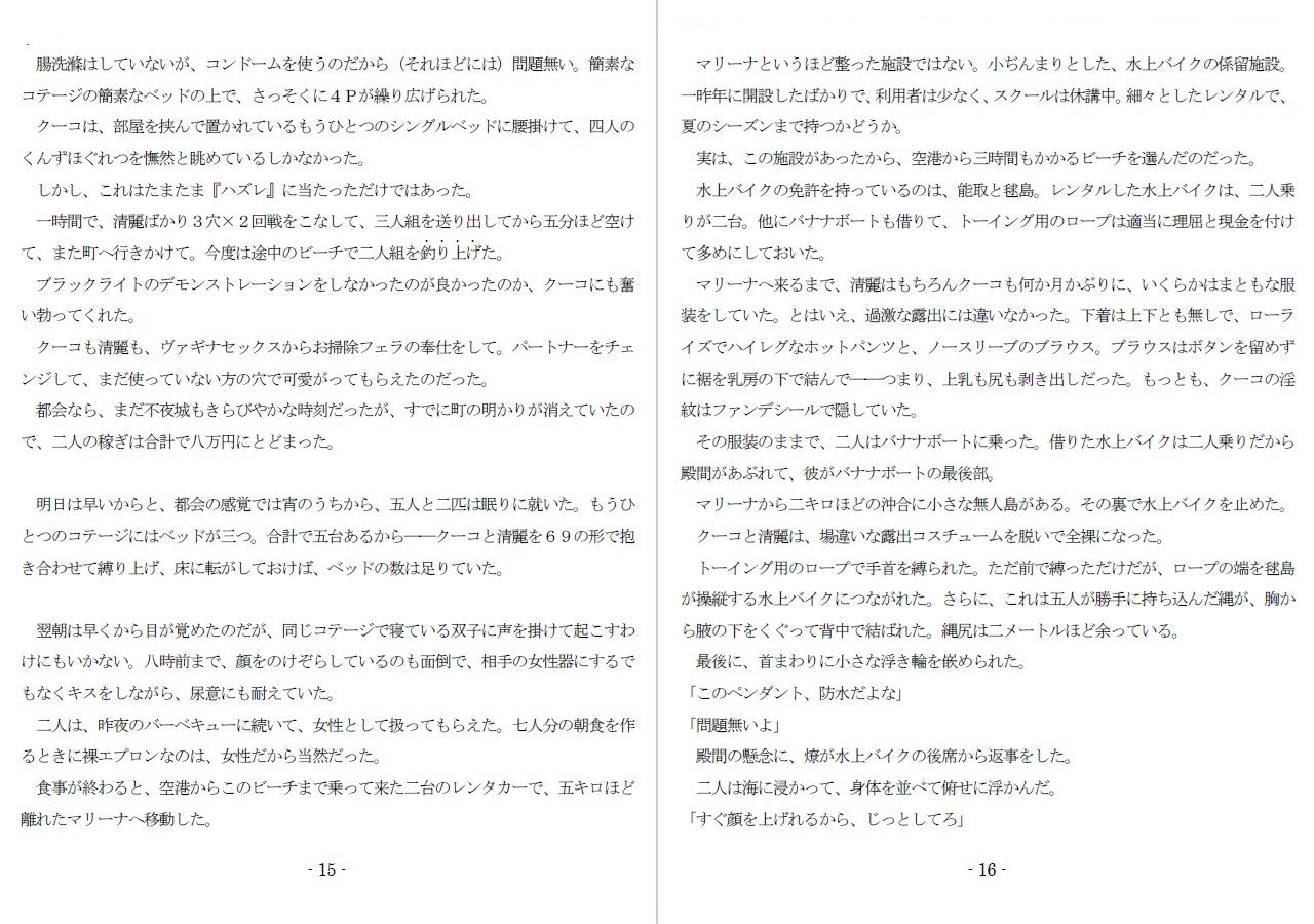 800万円のDVR:3惨虐搾取編 サンプル6ページ目