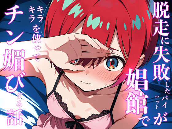 脱走に失敗したパイロットが娼館でキラキラを使ってチン媚する話