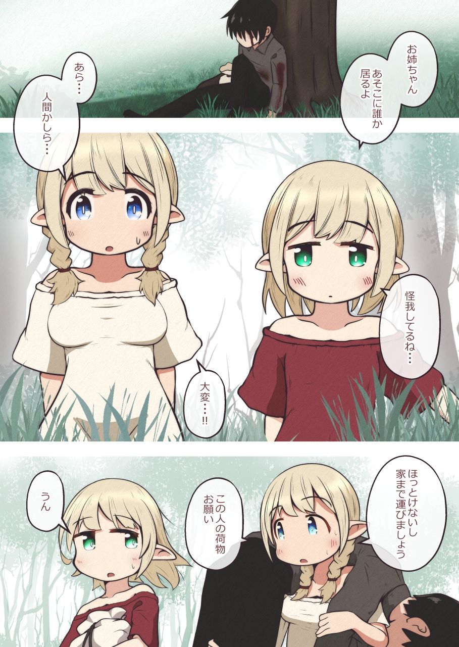 エルフの姉妹に助けられた冒険者が性奴●にされるお話 サンプル1ページ目