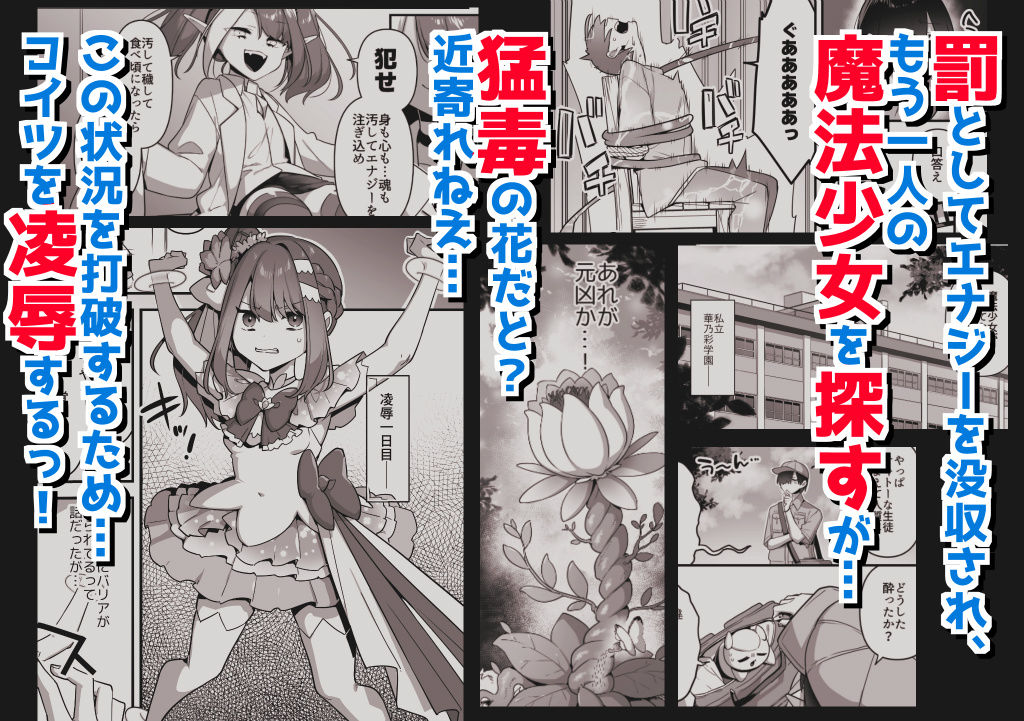 悪の手先になったので。〜魔法少女を凌●します〜3前編 サンプル2ページ目