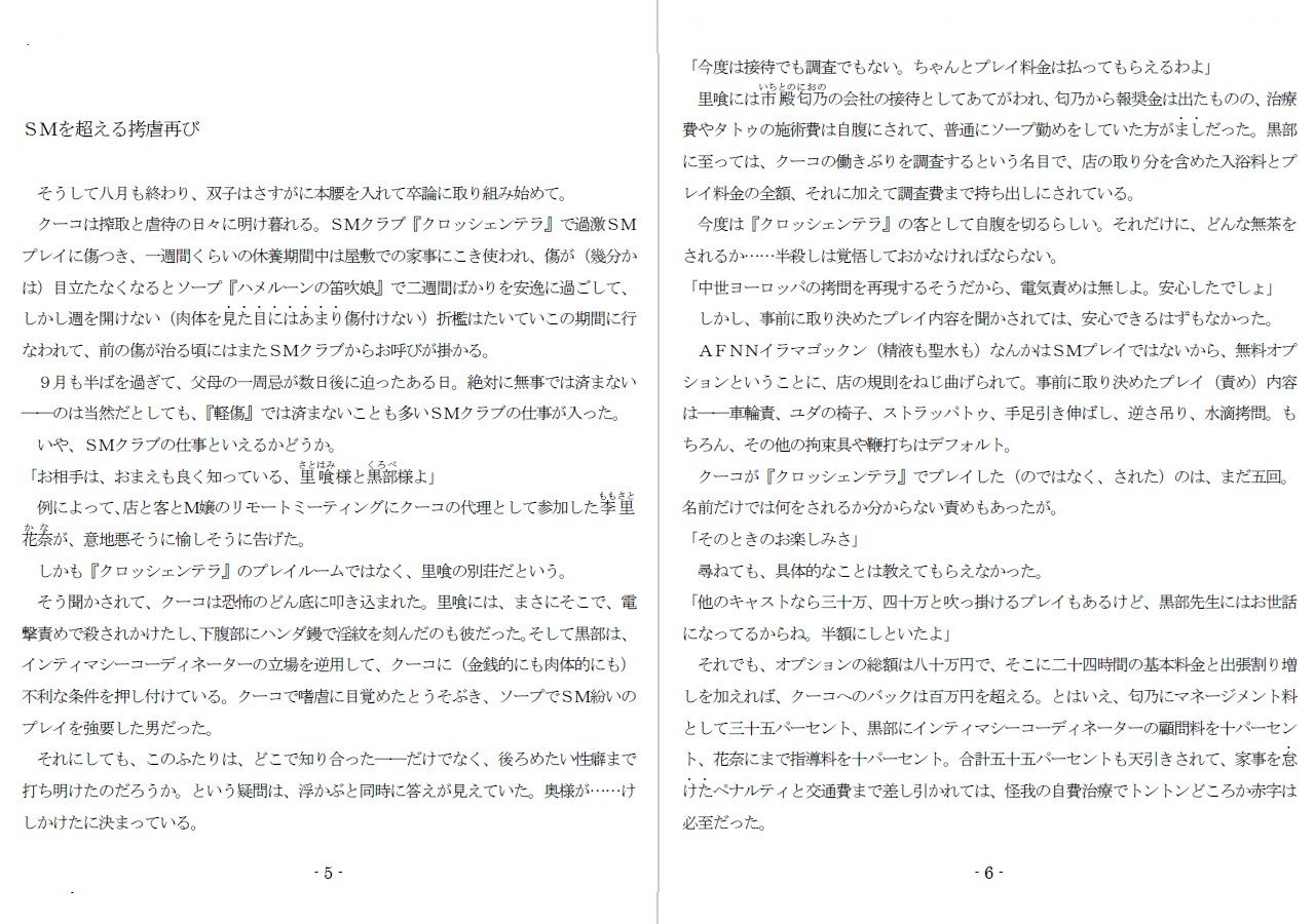 800万円のDVR:4弄虐処分編 サンプル2ページ目