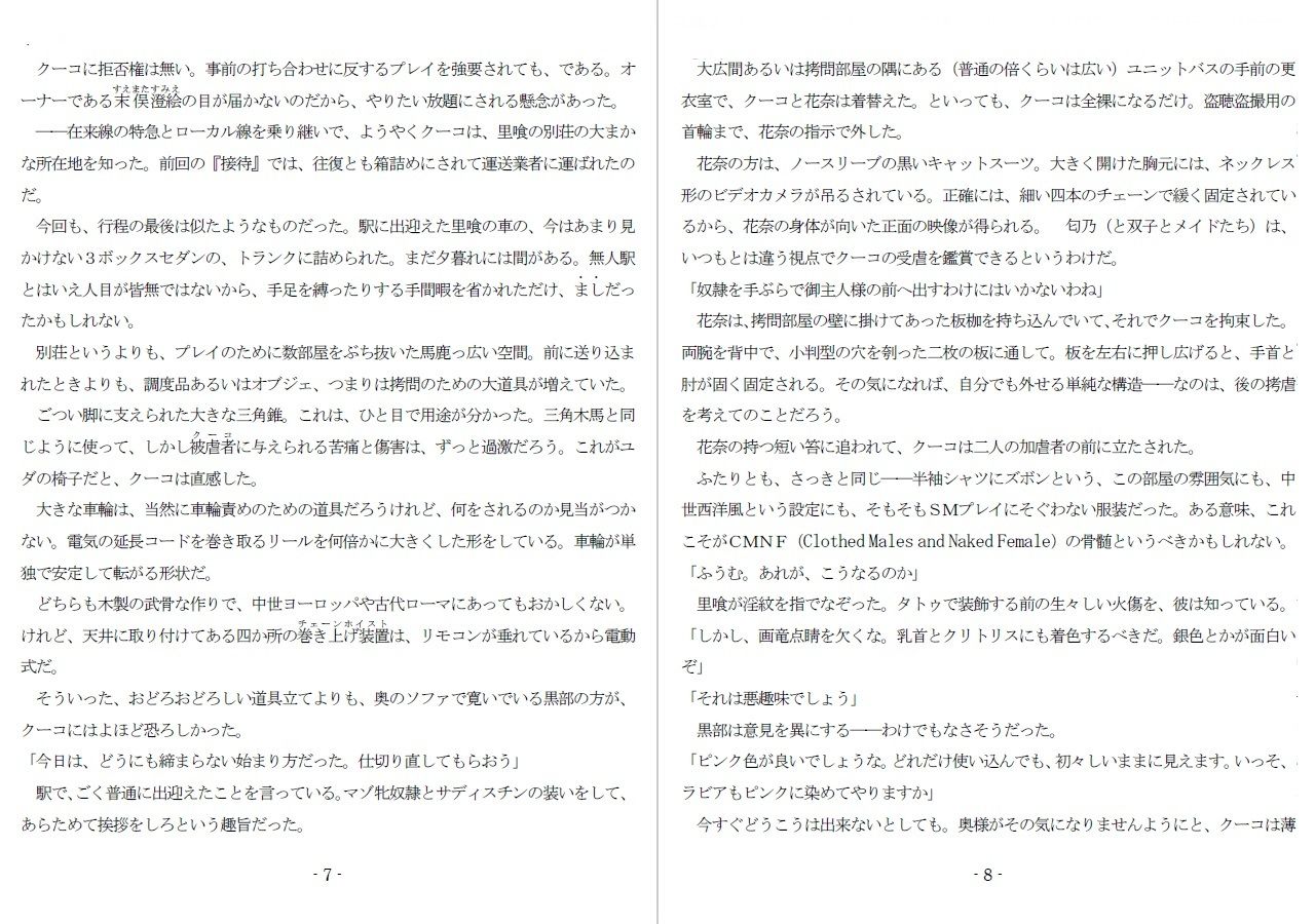 800万円のDVR:4弄虐処分編 サンプル3ページ目